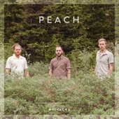 Whitacre - Peach