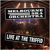 Live At The Triffid artwork