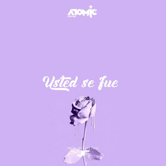 Cover artwork for Usted Se Fue