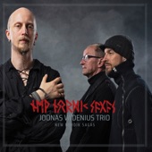 Joonas Widenius Trio - Raven Drive