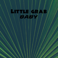 ℗ 2019 Little Grab