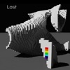 Lost