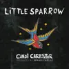 Little Sparrow - Single album lyrics, reviews, download