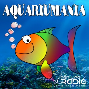 Aquariumania - Episode 73 Keys in Crisis: The Florida Aquarium’s Keri O’Neil Discusses Multi-Institutional Efforts to Manage Disease Devastating Florida’s Coral Reefs