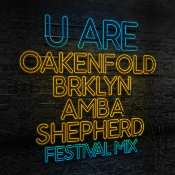 Cover artwork for U Are (feat. BRKLYN & Amba Shepherd)