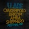 U Are (feat. BRKLYN & Amba Shepherd) - Paul Oakenfold lyrics