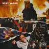 Stay Woke (feat. Bebe Hendrix & Erk tha Jerk) - Single album lyrics, reviews, download