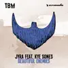 Beautiful Enemies (feat. Kye Sones) - Single album lyrics, reviews, download