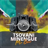 Tsovani Minengue artwork