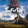 We'll Meet Again - Single