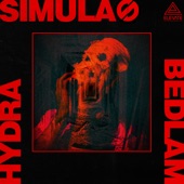 Bedlam artwork