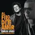 Al Filo de Tu Amor (Remix) [feat. Wisin] song reviews