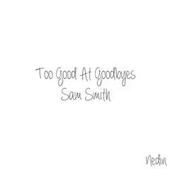 Too Good At Goodbyes - Single by Nedin album reviews, ratings, credits