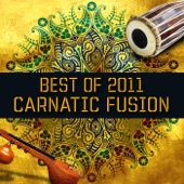 Best of 2011 - Carnatic Fusion artwork
