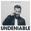 Josh Wilson - Undeniable