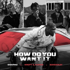 HOW DO YOU WANT IT cover art