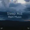 !!!" Sleep Aid: Rain Music "!!! album lyrics, reviews, download