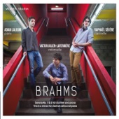 Brahms: Sonata No. 1 & 2 for Clarinet and Piano - Trio in A Minor for Clarinet, Cello and Piano artwork
