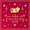 Good Fortune with Chinese New Year 2019 – Asian Experience, Yin Earth Pig, Oriental Festival, Traditional Celebration