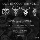 Rave Encounter, Vol. 2 - EP artwork