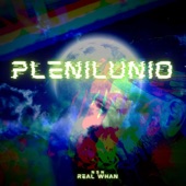 Tu Marinero Marihuanero (Remix) artwork
