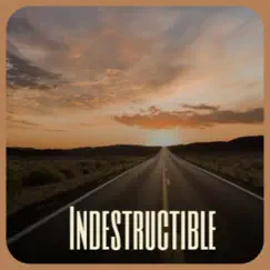 Indestructible by Various Artists album reviews, ratings, credits