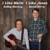 I Like Merle I Like Jones - Single