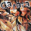 Cataia, 2008