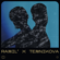 Из-за тебя - Ramil' & Елена Темникова