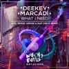 Deekey & Basalto - What I Need (Extended Mix)