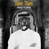 Tam Tam (Radio Edit) artwork