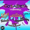 Gozadera Lagunera Vol.3