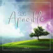 Silbo Apacible, Vol. 2 artwork