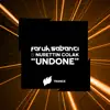 Undone - Single album lyrics, reviews, download