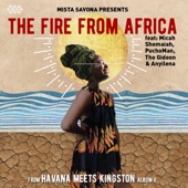 The Fire From Africa (feat. Anyilena, The Gideon, Puchoman & Micah Shemaiah) artwork