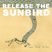Release The Sunbird - Back Strikes Back