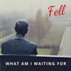 Fell - What Am I Waiting for