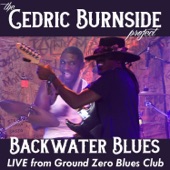 Cedric Burnside Project - Backwater Blues (Live)
