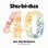 40 års Shu-bi-læum (De 40 Største Hits)