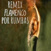 Flamenco por Rumbas (Remix) - Single