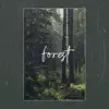 Forest. song lyrics