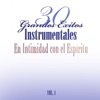 30 Grandes Exitos Instrumentales Vol.1 (Instrumental)