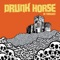 Nice Hooves - Drunk Horse lyrics