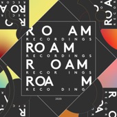 The Roam Compilation, Vol. 5 artwork