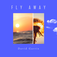 David Garrix - Fly Away artwork