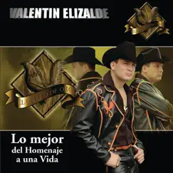 El Venadito Song Lyrics