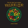 THK - Warrior (Amice Remix)