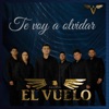 Te Voy a Olvidar - Single