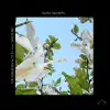 Slow Motion (feat. Sam Sure) - Single album lyrics, reviews, download