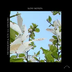 Slow Motion (feat. Sam Sure) - Single by The Magician & TCTS album reviews, ratings, credits